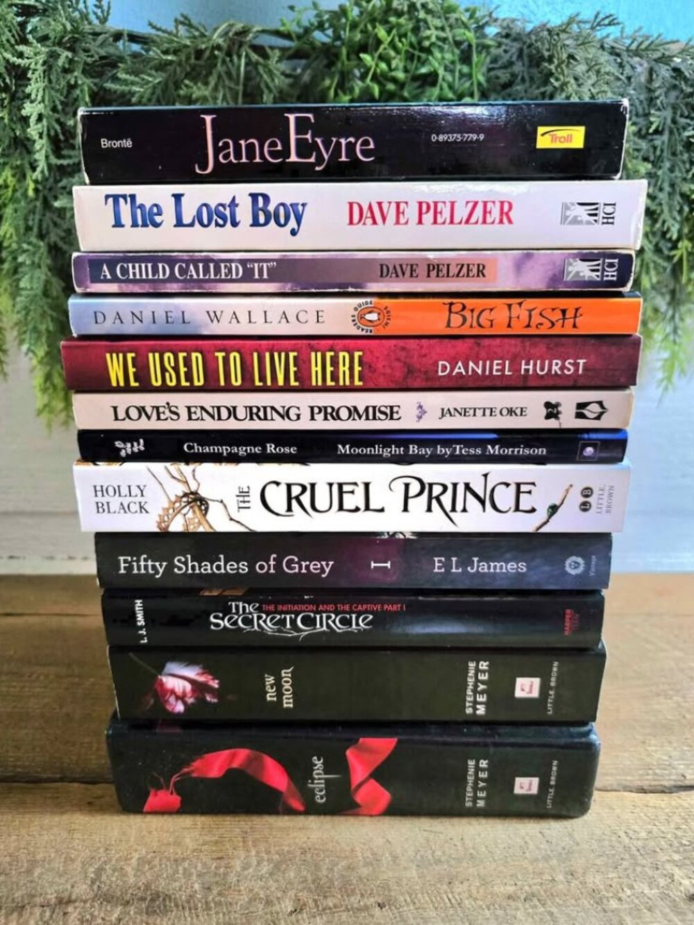 Book Bundle Lot Eclipse New Moon Cruel Prince Big Fish Jane Eyre Secret Circle